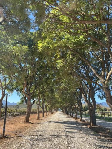 Robertson Wine Region South-Africa