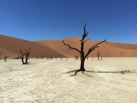 The Dead Vlei Namibia