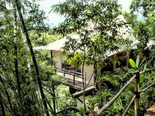 Thailand, 5 Star tented accommodations. Chiang Rai