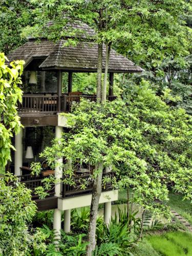 Thailand, Chiang Mai